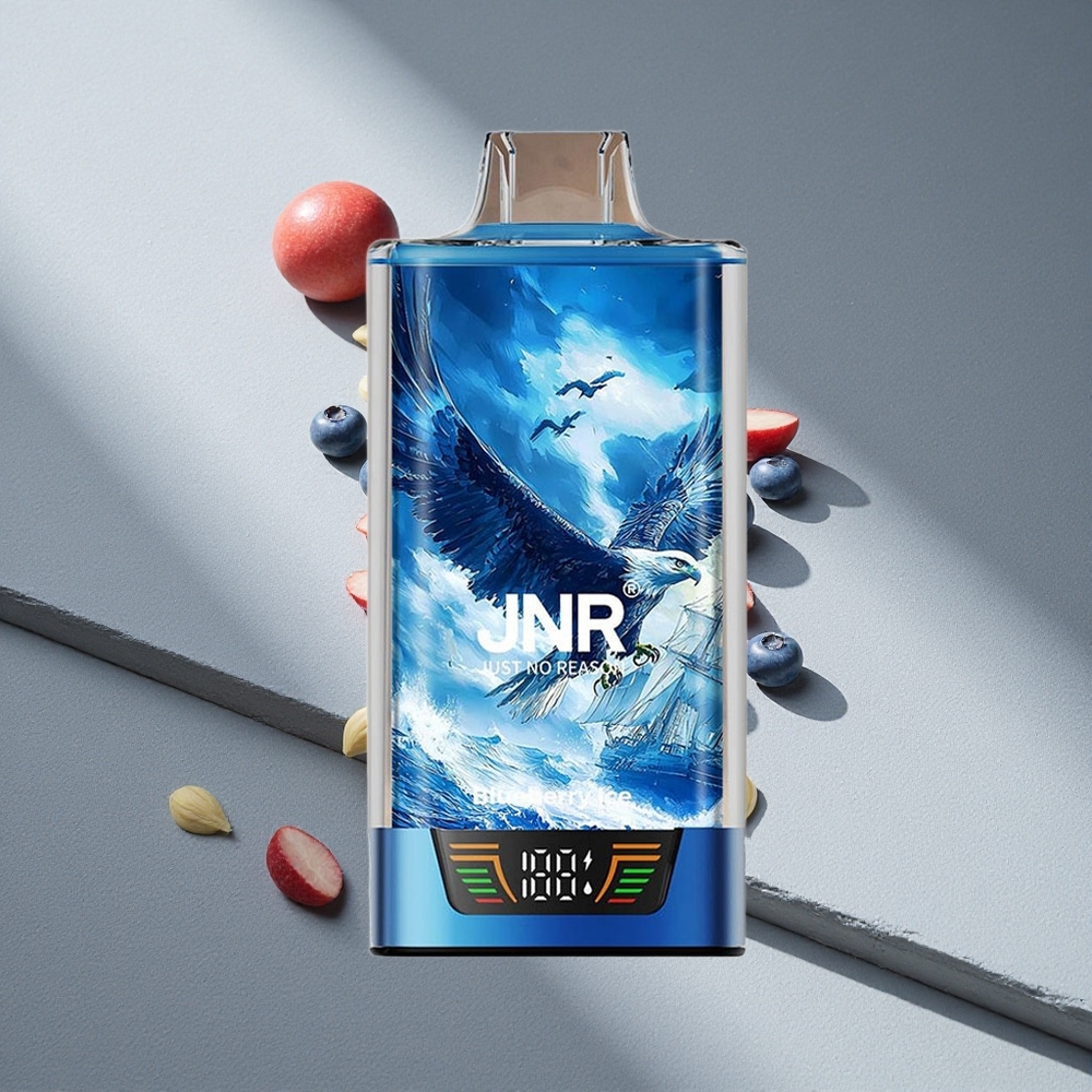 JNR Falcon Pro 28000 Borówka Lód z Wyświetlaczem i Podwójną Siatką