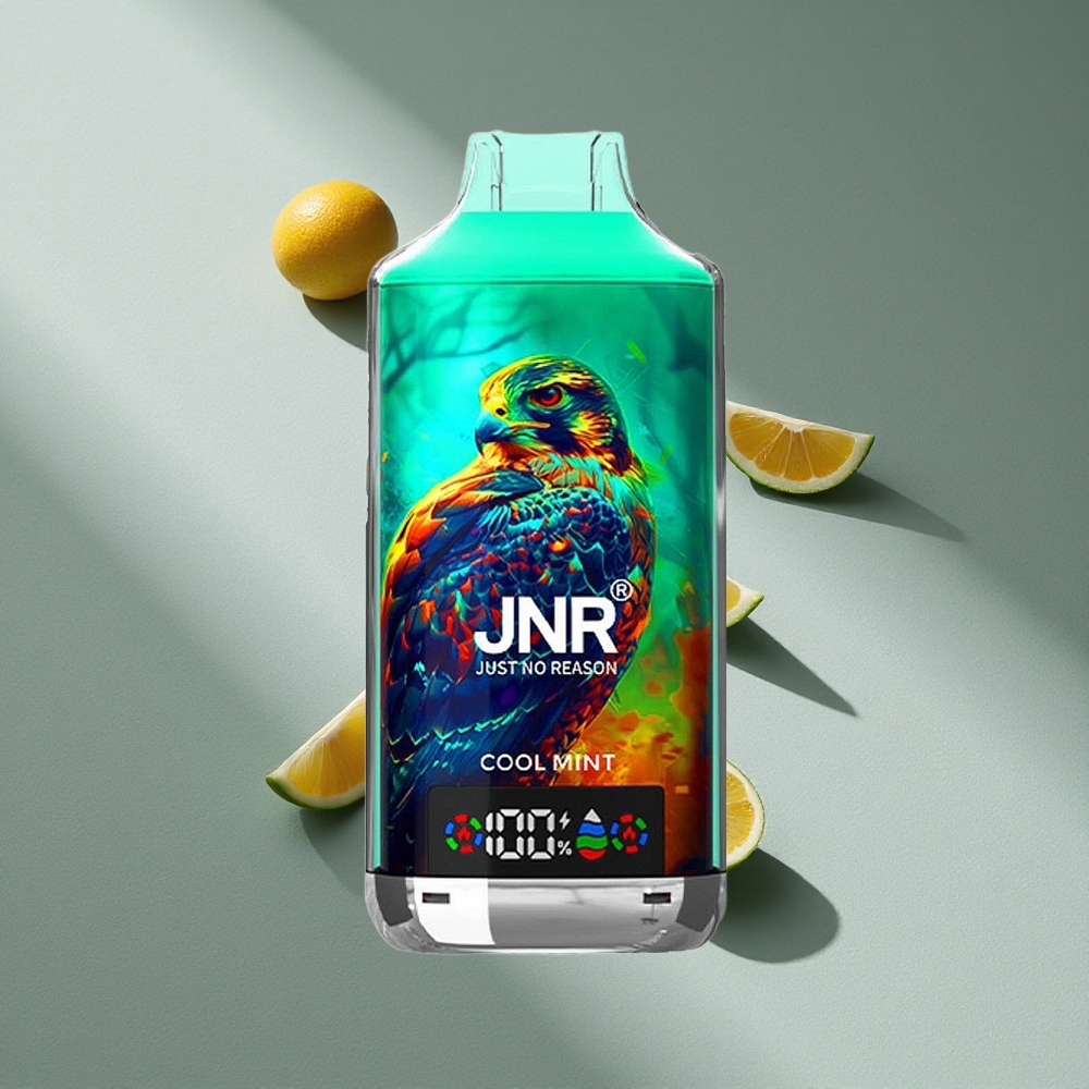 JNR Falcon X 18000 Puffs 24ml Miętowy Chłodny Dual Mesh Cyfrowy