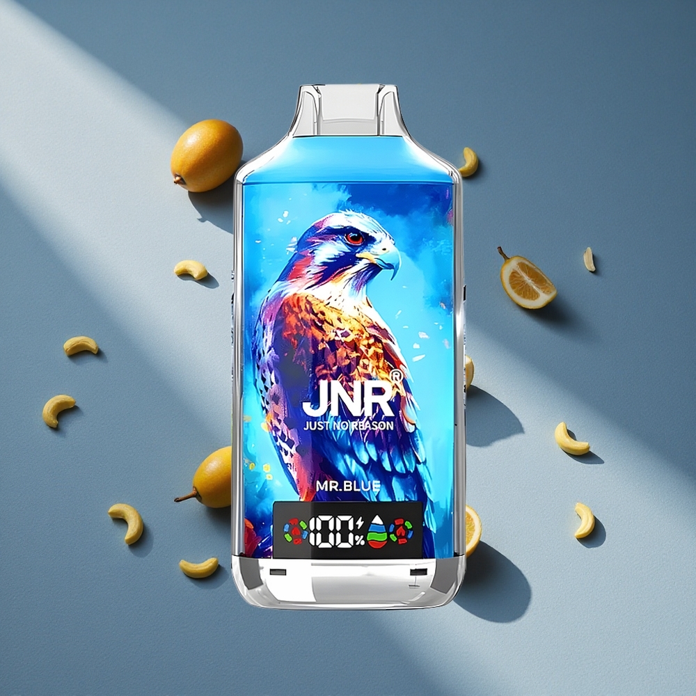 JNR Falcon X 18000 Puffs 24ml Niebieski