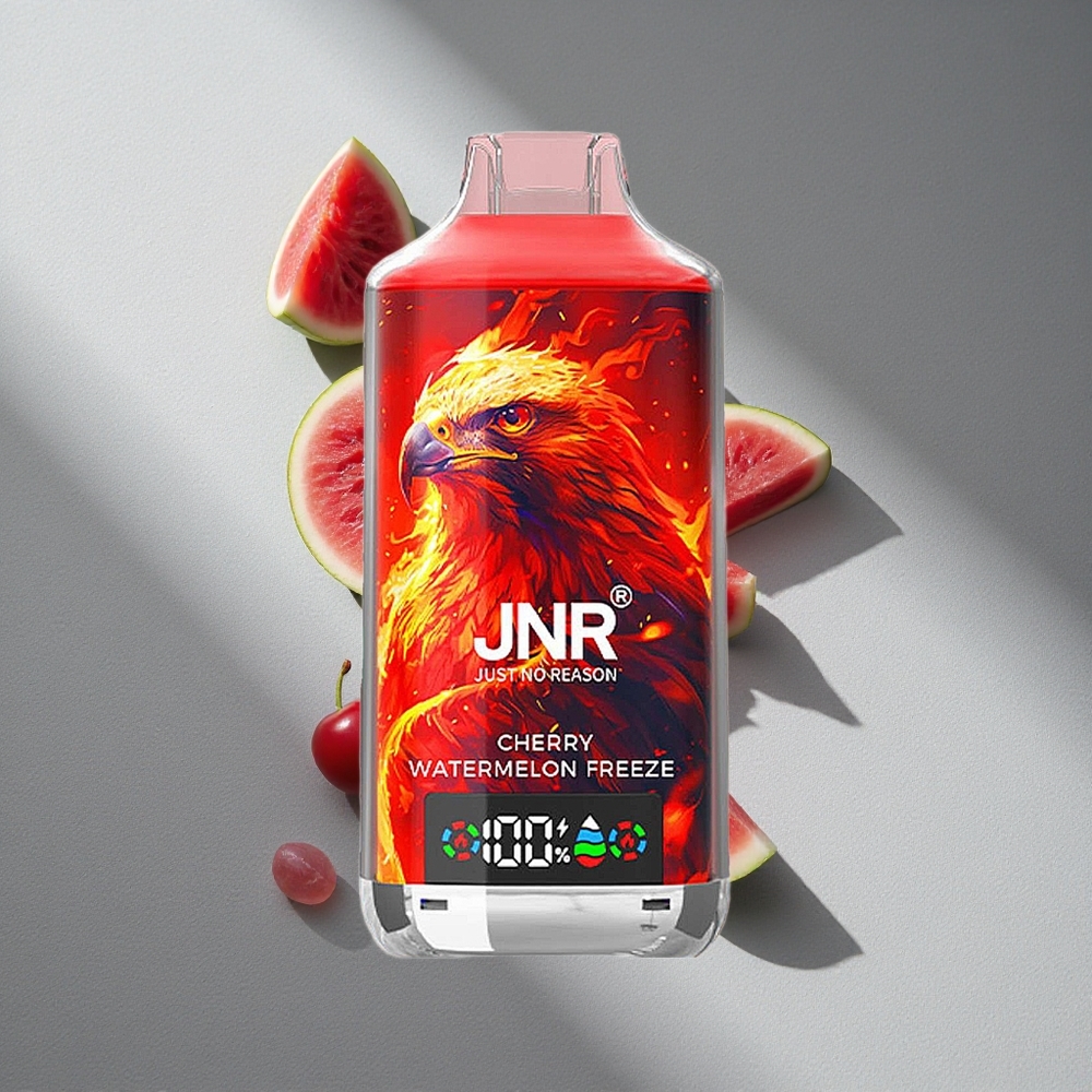 JNR Falcon X 18000 Puffs Dual Mesh Coil Wiśnie Arbuz Mroźny Typ-C