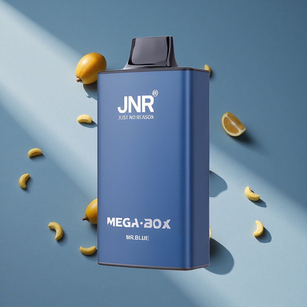 JNR Mega Box 25000 Puffs Mr Niebieski Podwójny Mesh i Typ-C