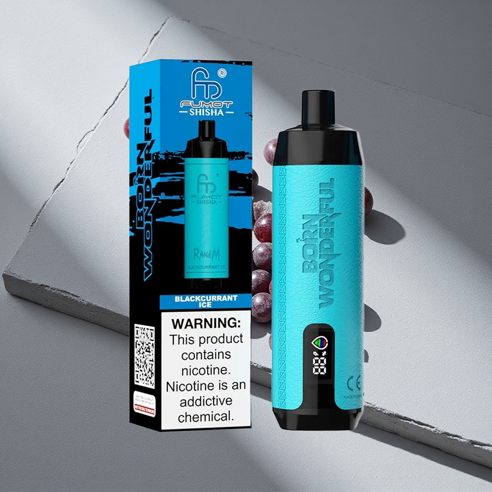 RandM Fumot Shisha 10000 Puffs Czarna Porzeczka Lód Typ-C Port LED Wskaźnik