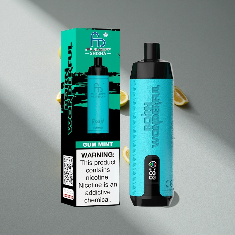 RandM Fumot Shisha 10000 Puffs Guma Mięta LED Wskaźnik